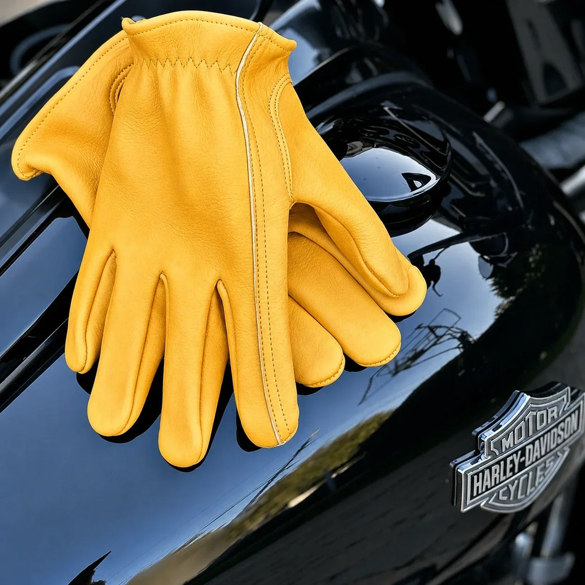 Gloves