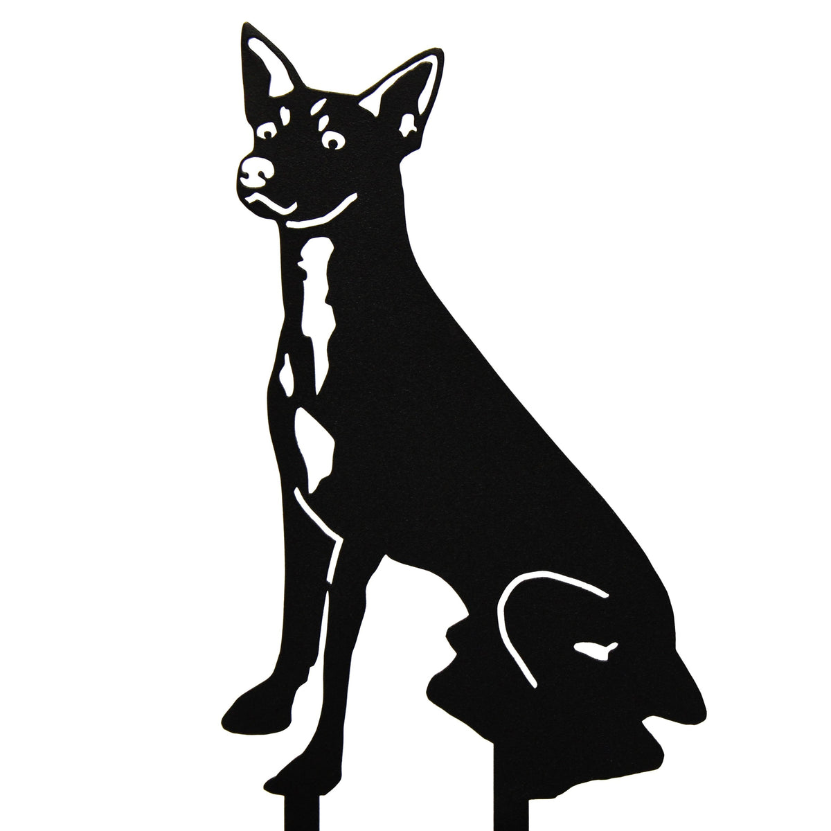 Rat Terrier