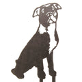 American Pit Bull Terrier