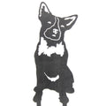 Australian Cattle Dog