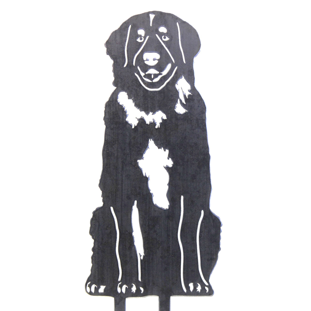 Leonberger