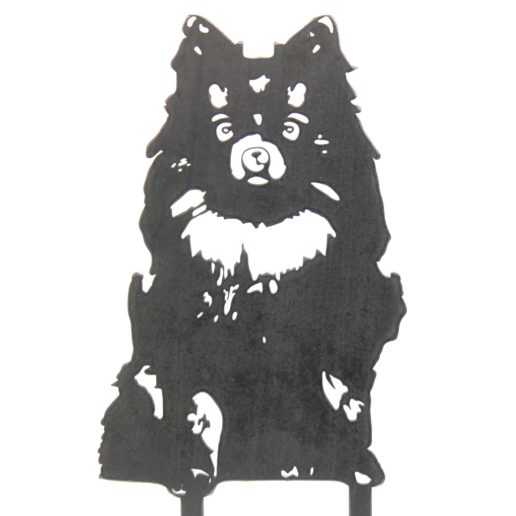Pomeranian