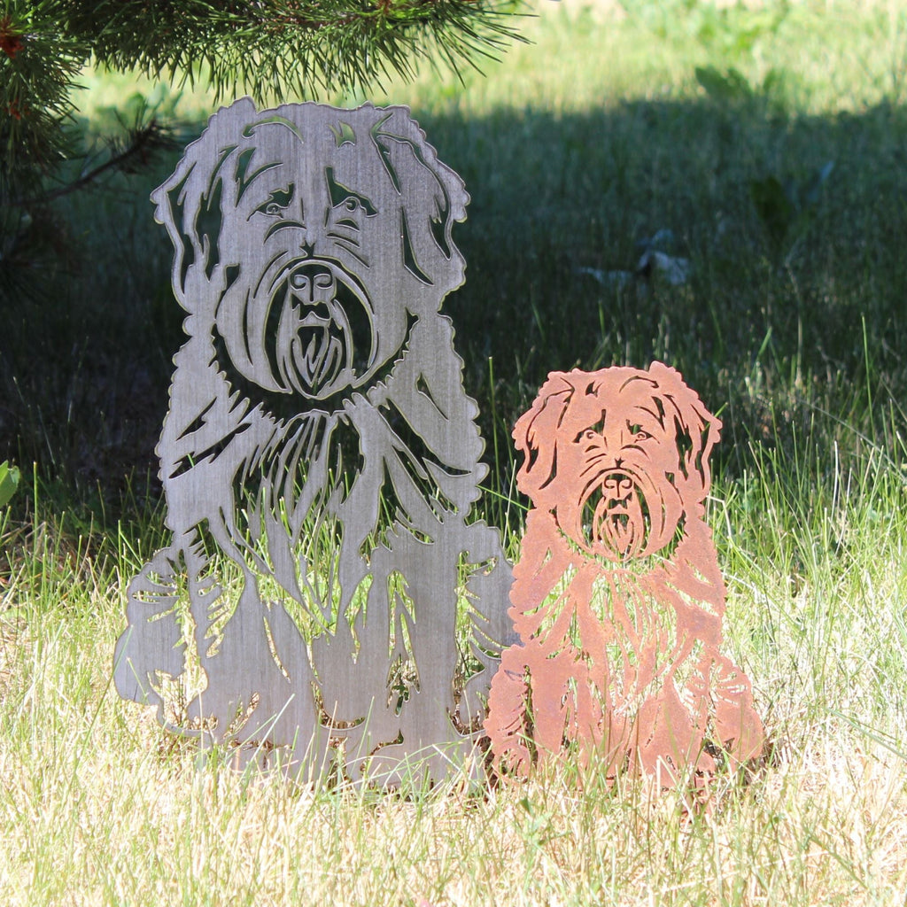 Soft Coated Wheaten Terrier