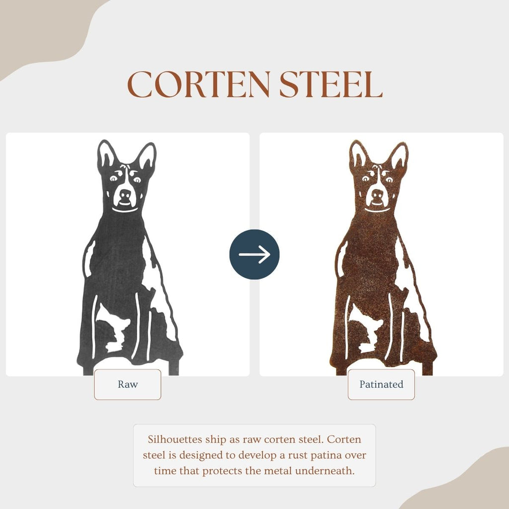 Basenji