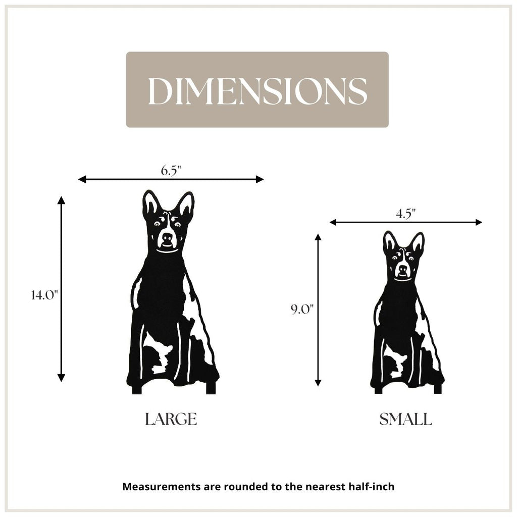 Basenji