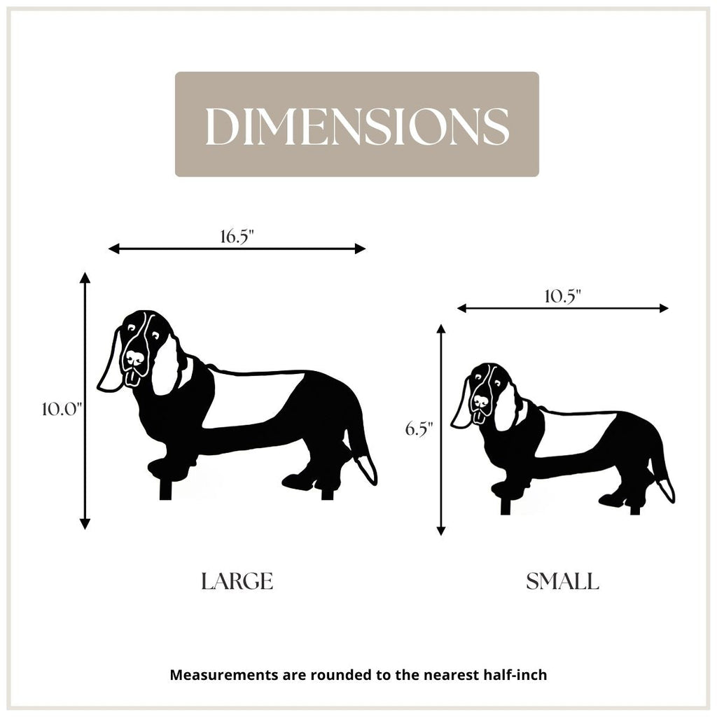 Basset Hound