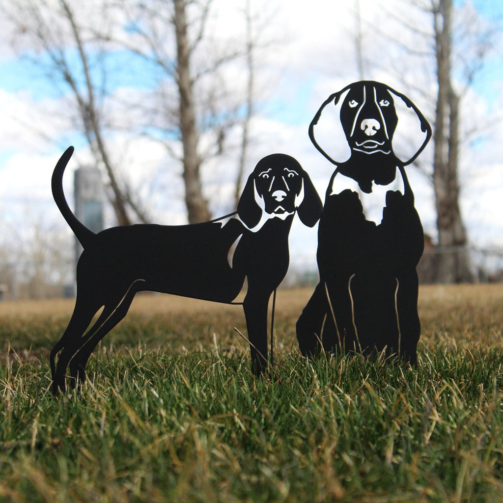 Treeing Walker Coonhound