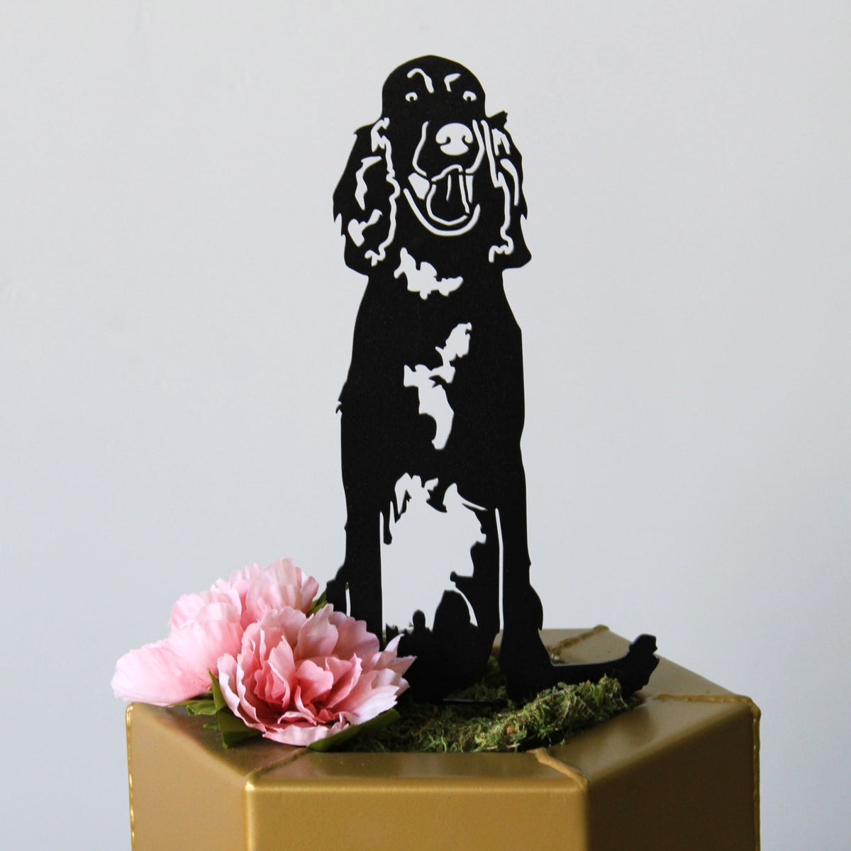 English Setter