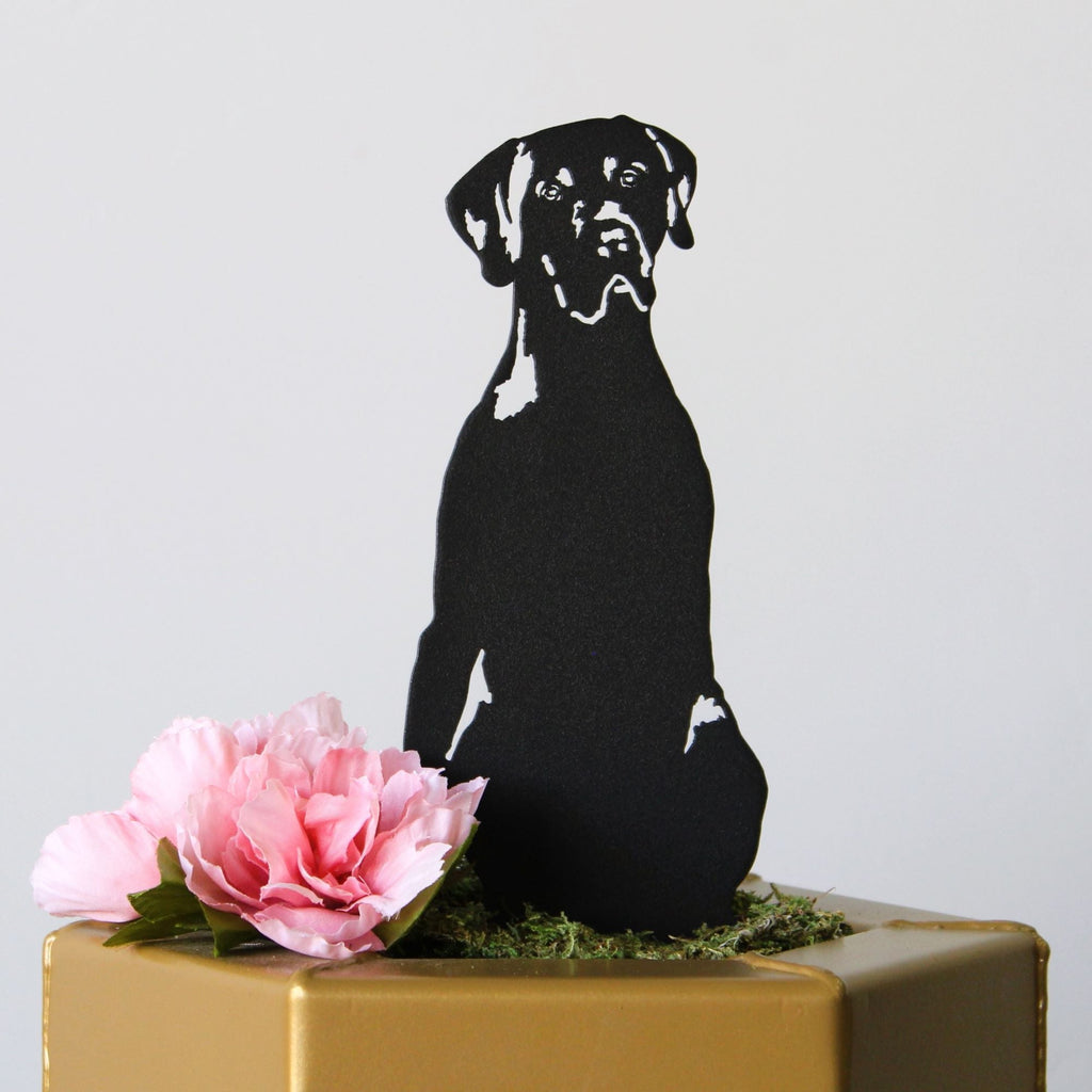 German Shorthaired Pointer
