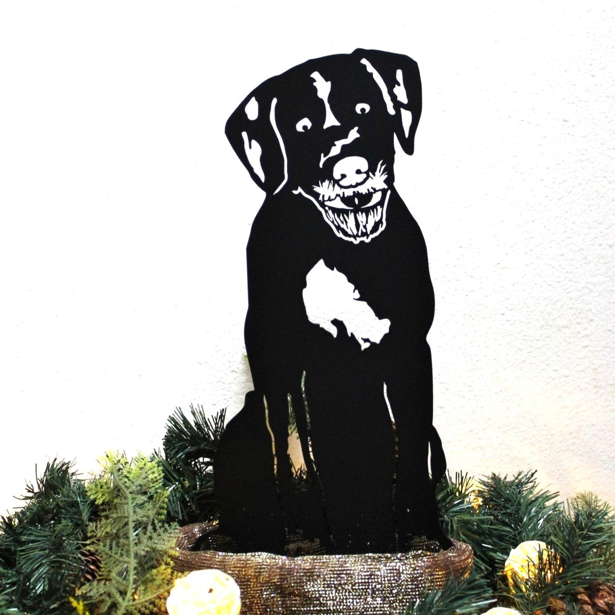 German Wirehaired Pointer