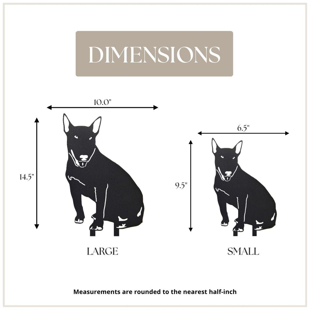 Bull Terrier