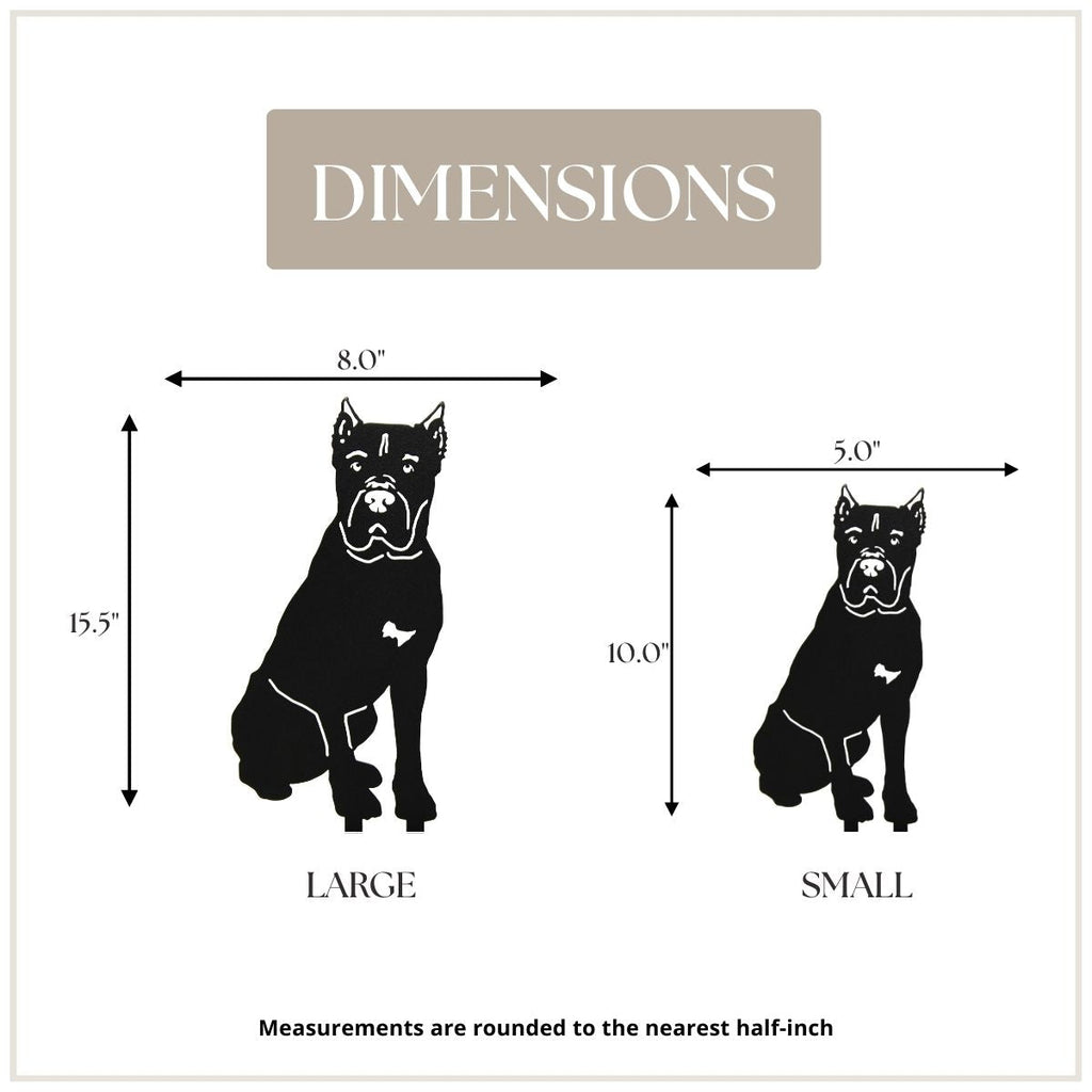 Cane Corso