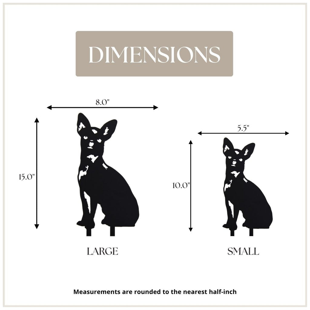 Chihuahua