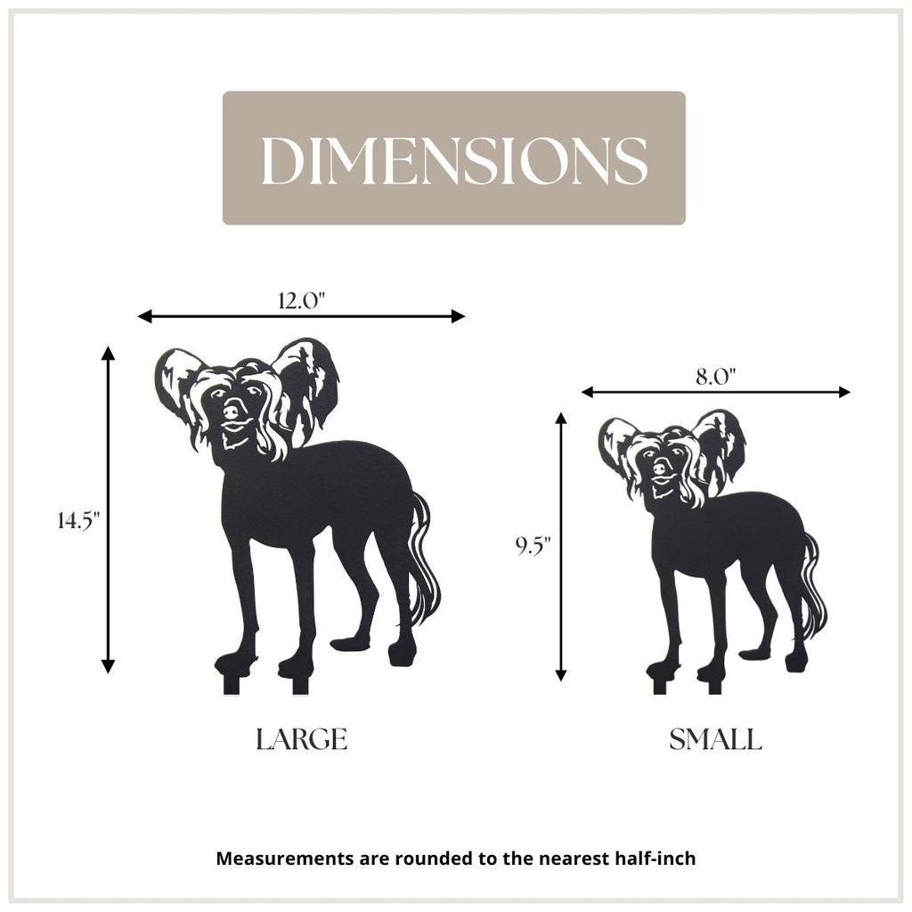 Chinese Crested