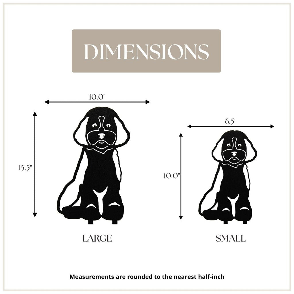Maltipoo