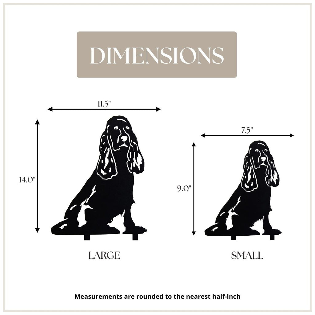 Cocker Spaniel