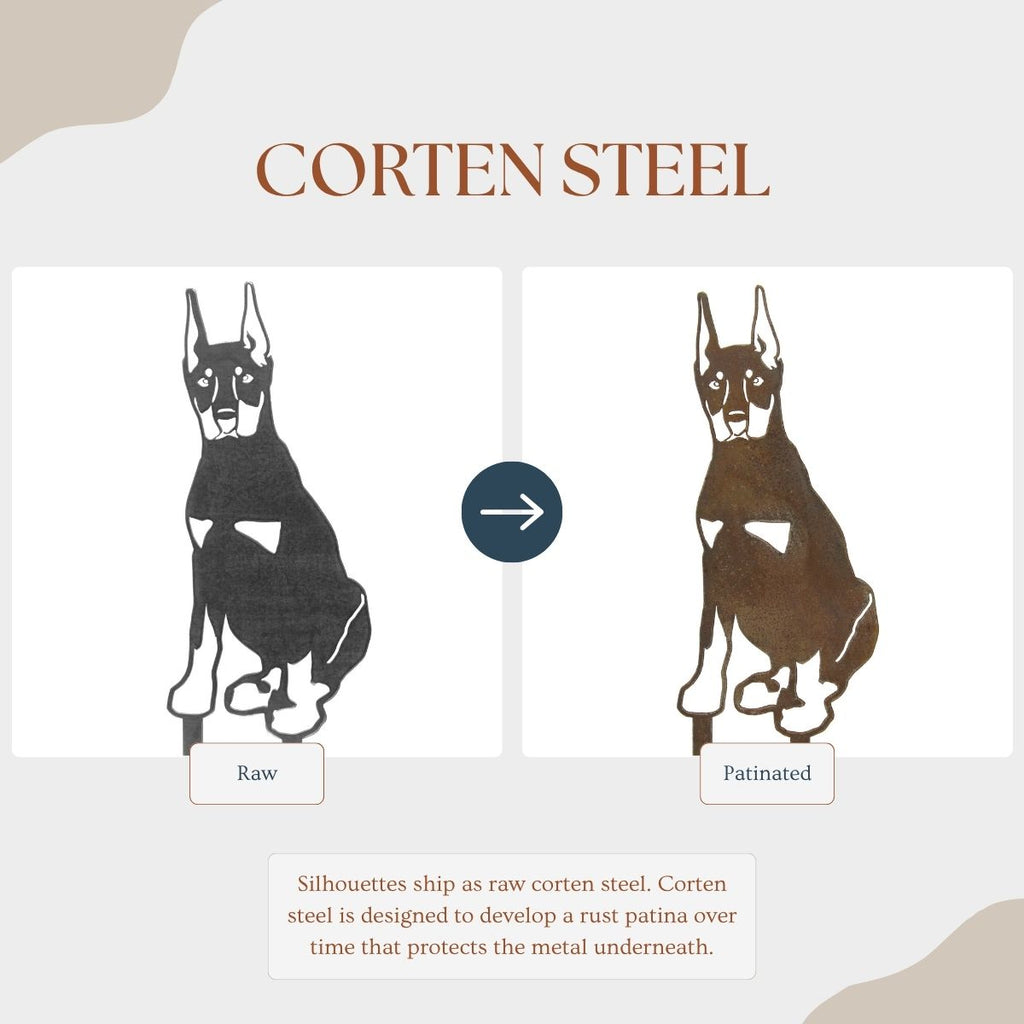 Doberman Pinscher - Cropped Ear