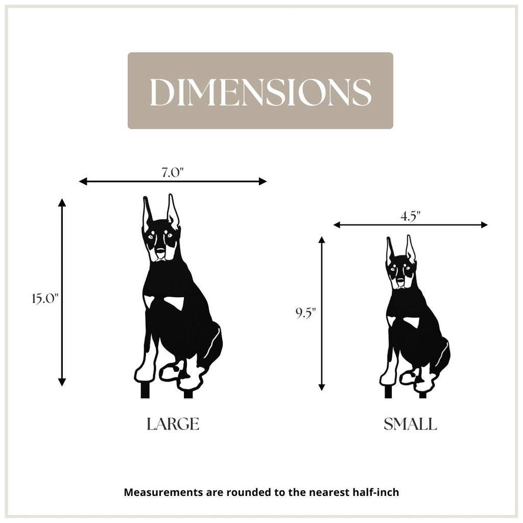 Doberman Pinscher - Cropped Ear