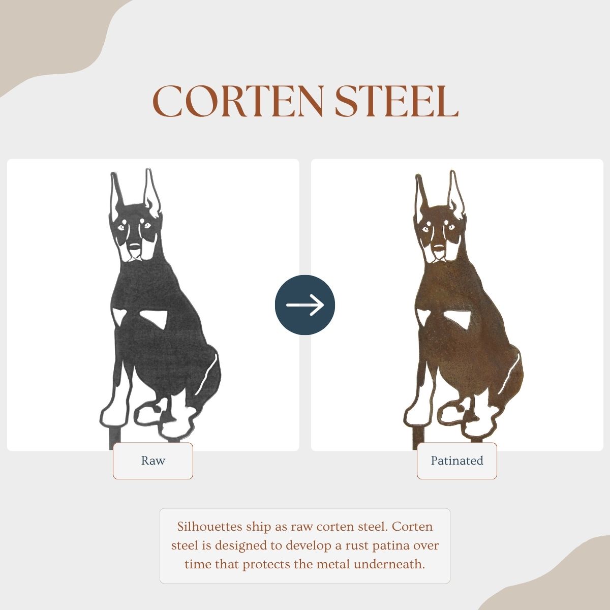 Miniature Pinscher