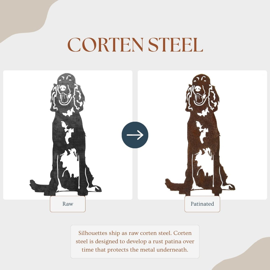 English Setter
