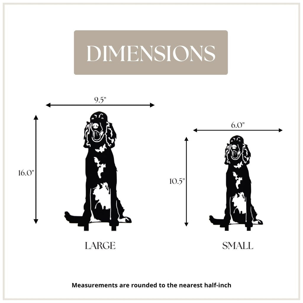 English Setter