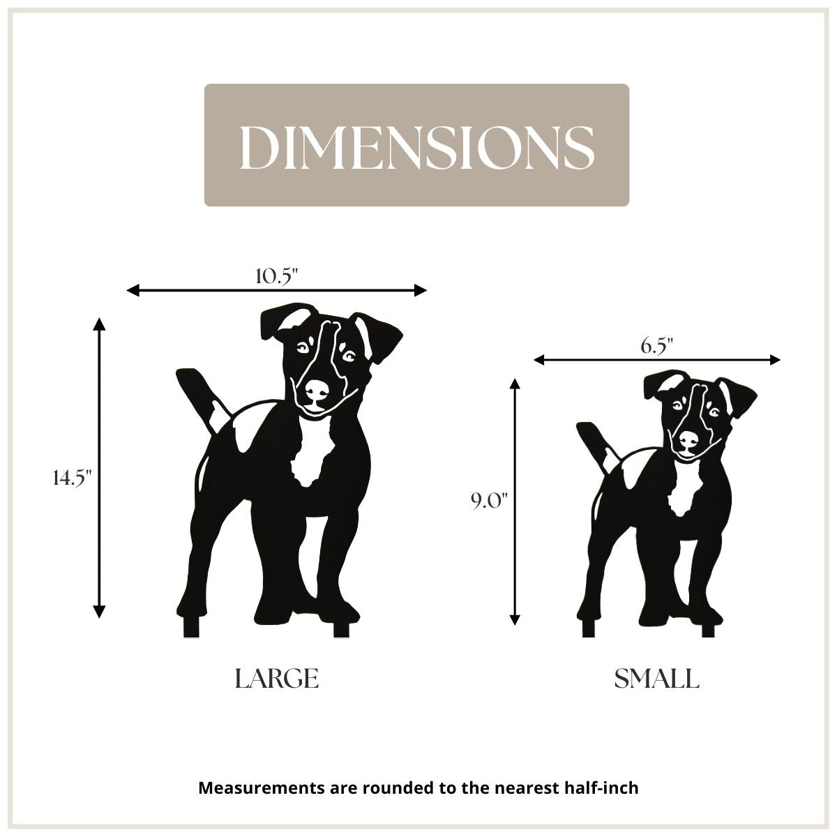 Jack Russell Terrier