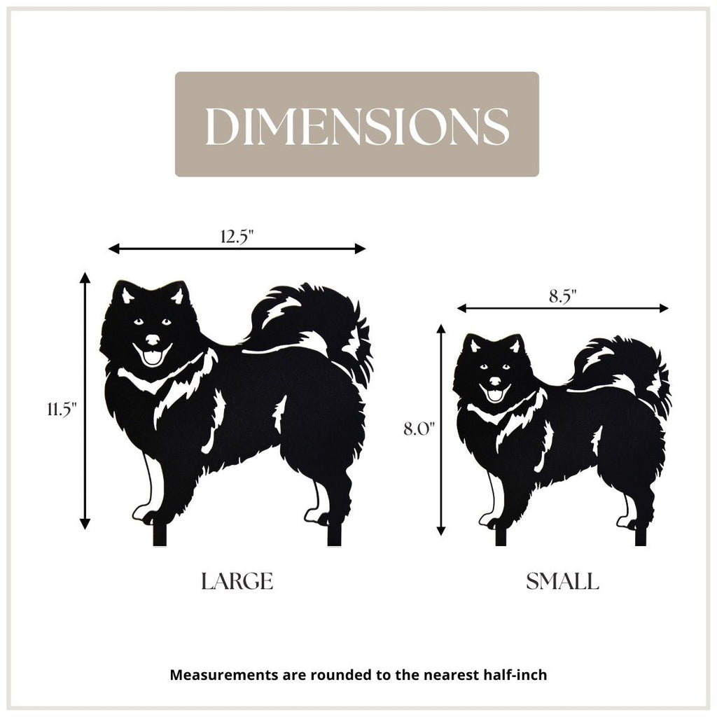 Japanese Spitz