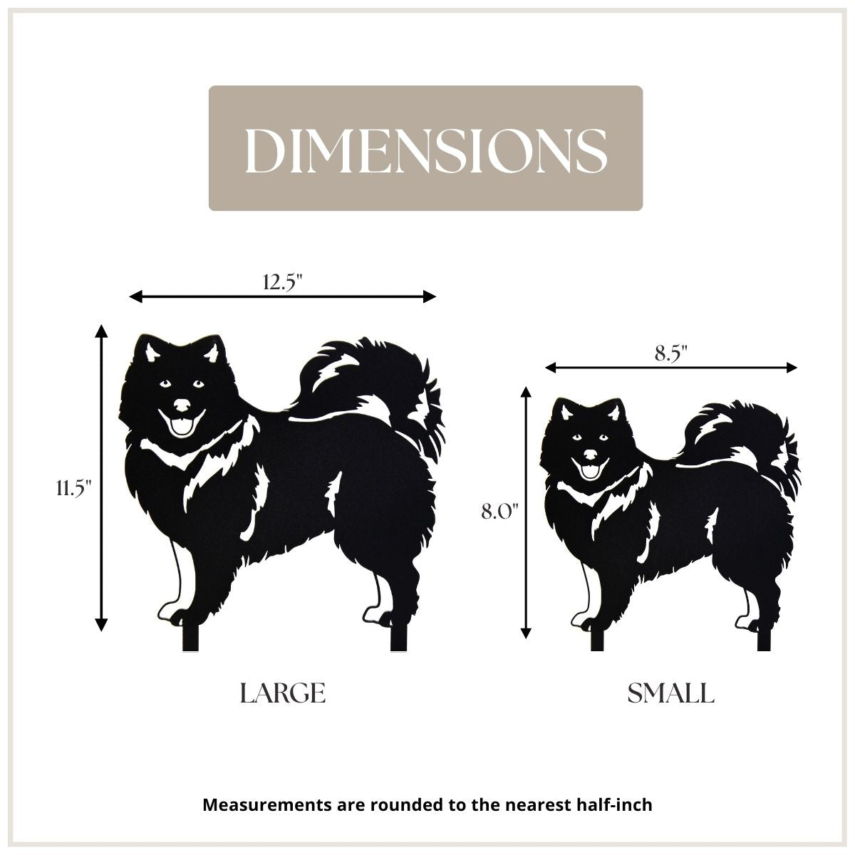 Japanese Spitz