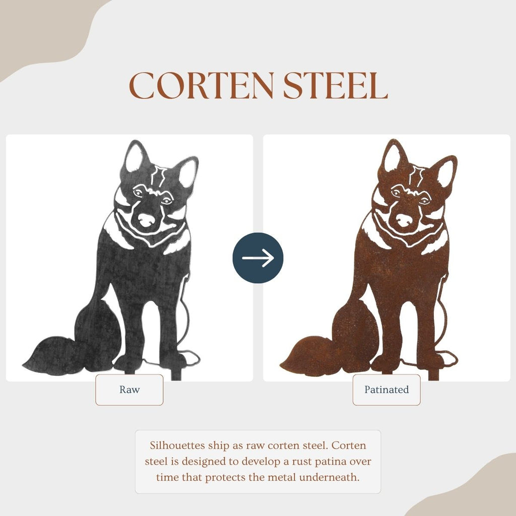 Norwegian Elkhound