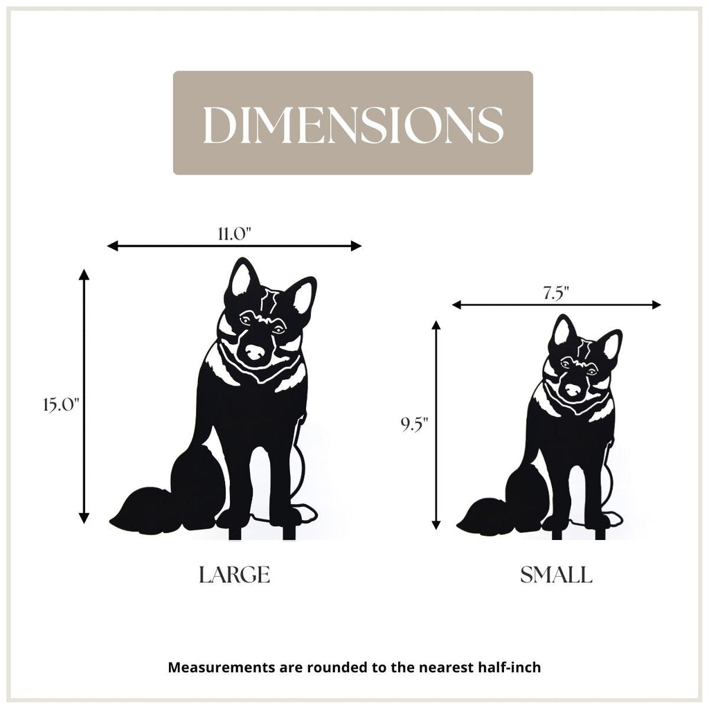 Norwegian Elkhound
