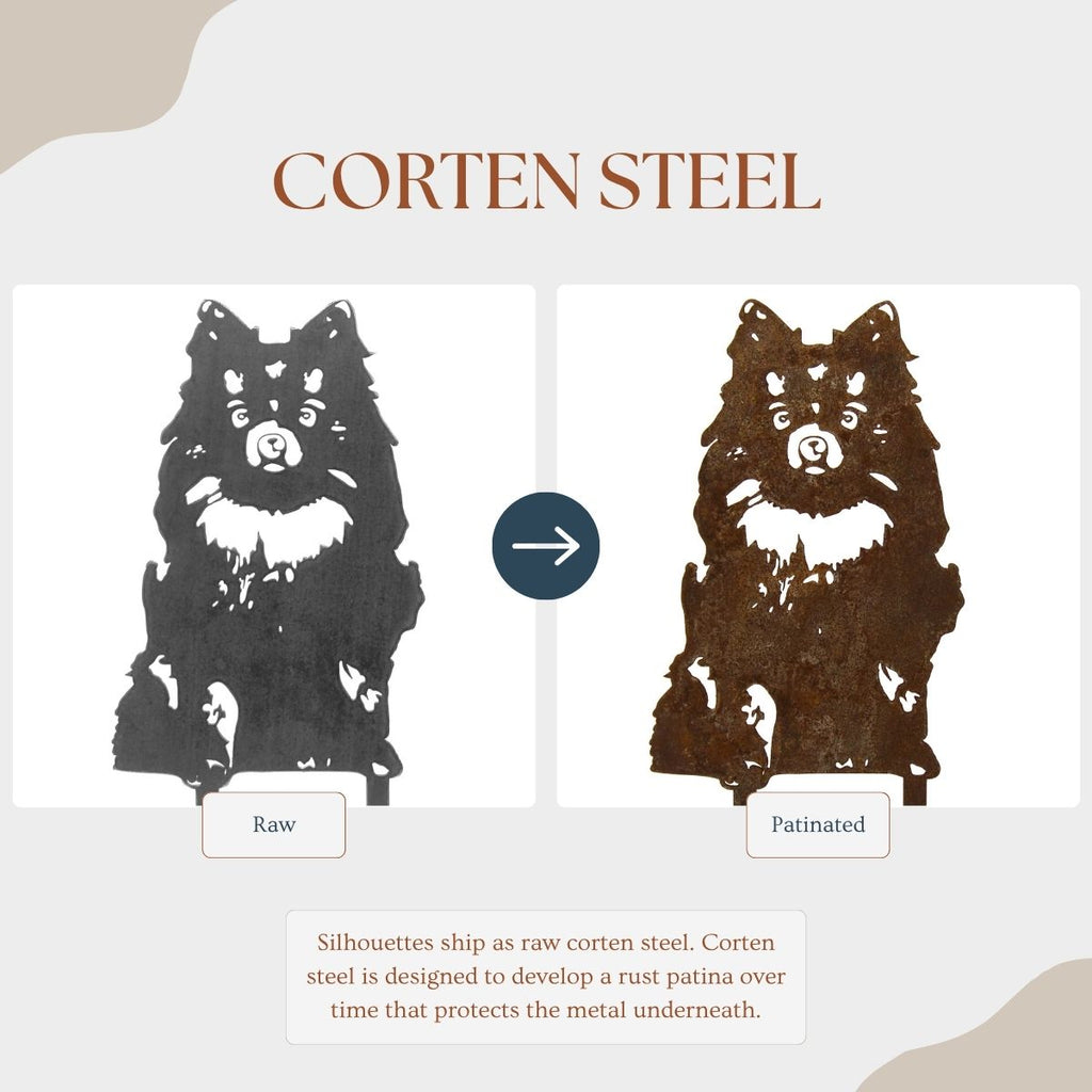 German Spitz