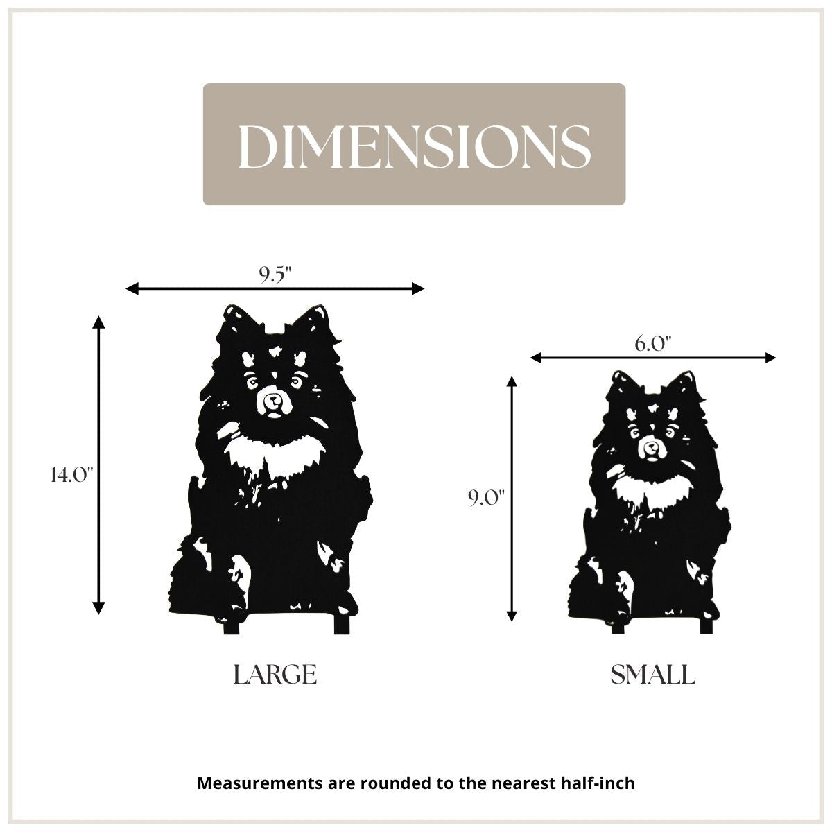 German Spitz