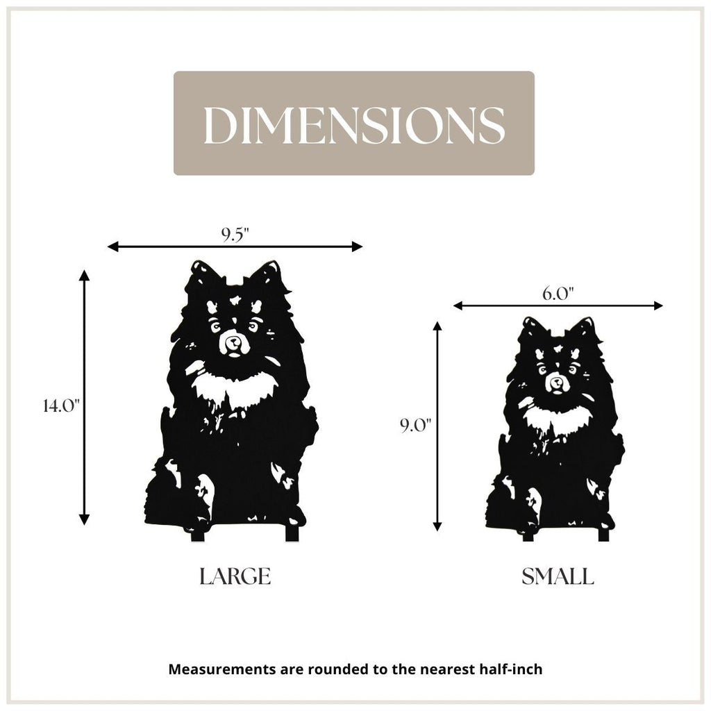 Pomeranian