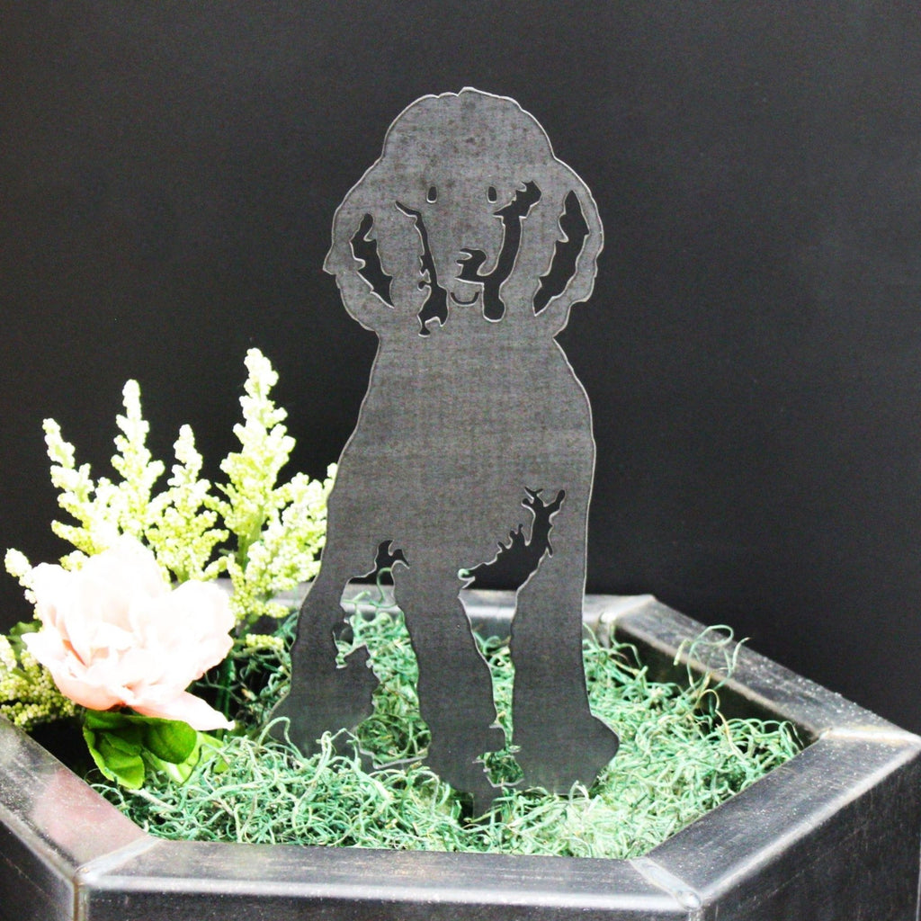 Poodle
