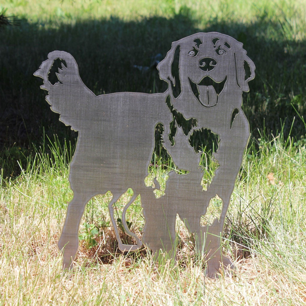 Golden Retriever - Standing