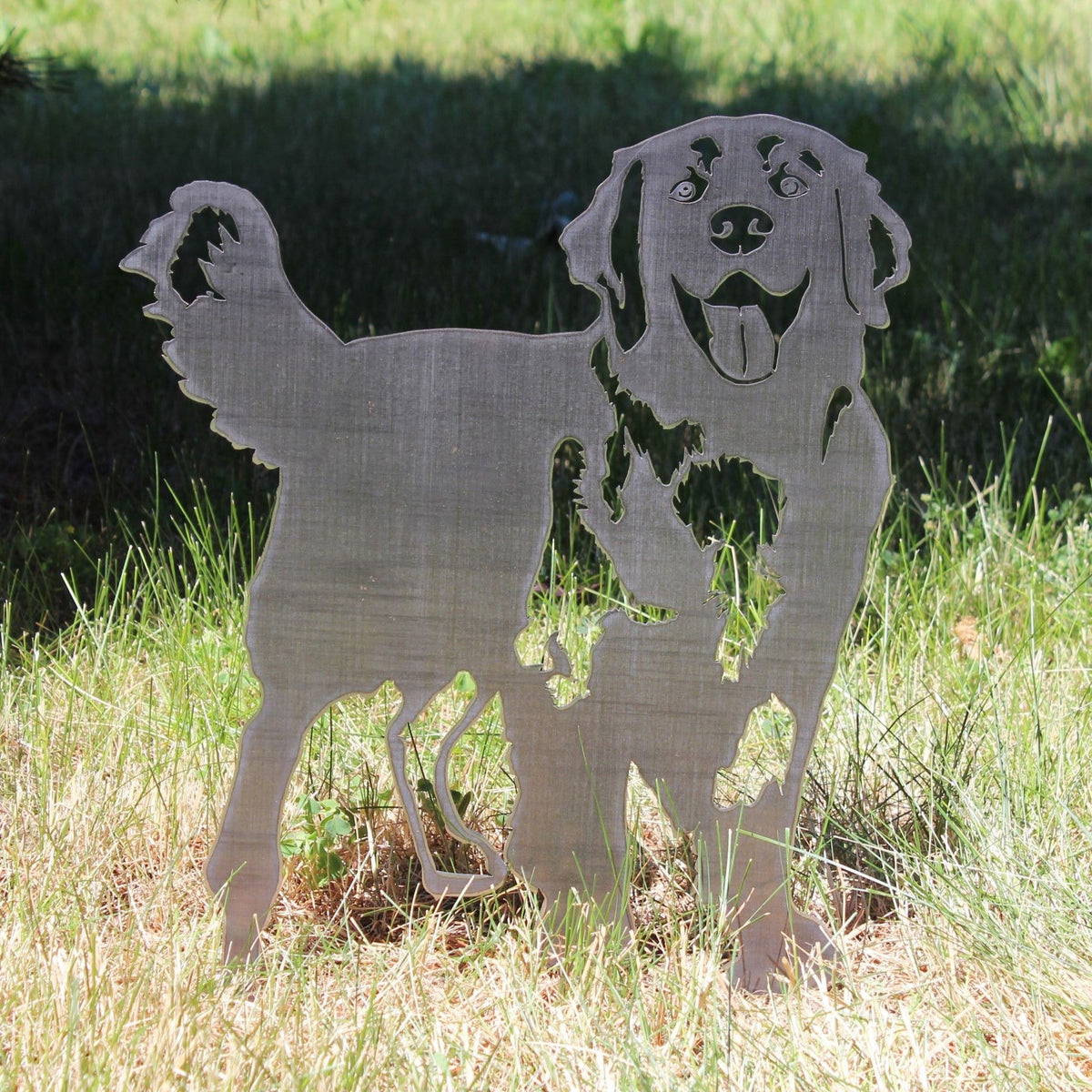 Golden Retriever - Standing