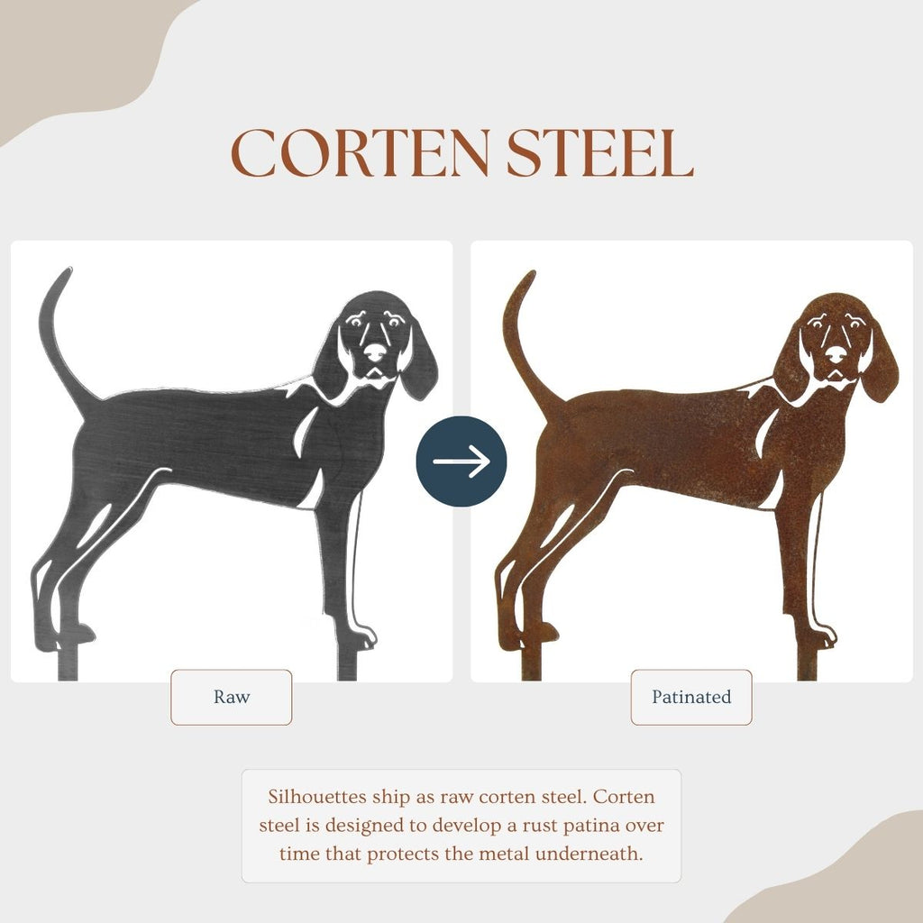Redbone Coonhound