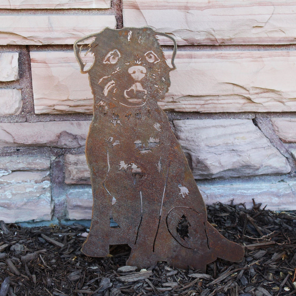 Border Terrier