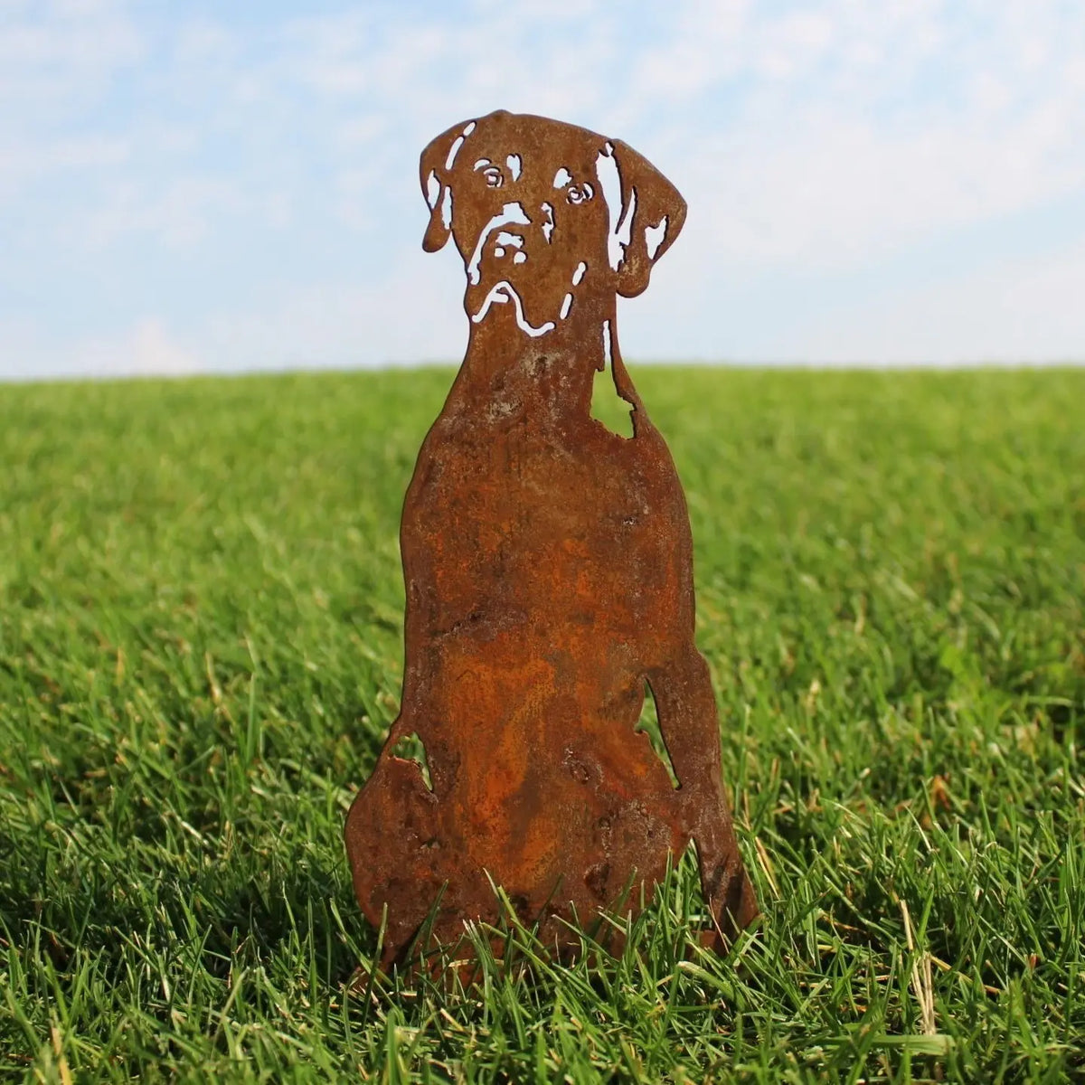 German Shorthaired Pointer
