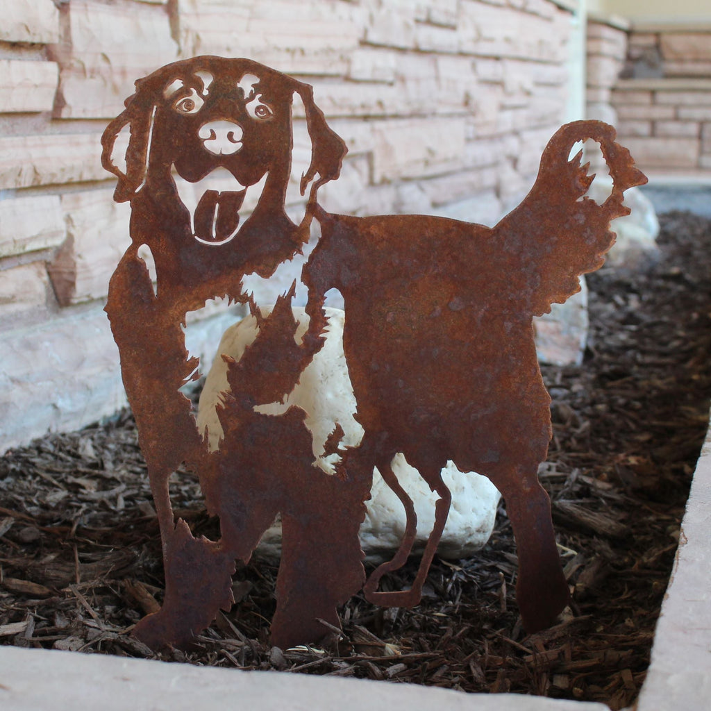 Golden Retriever - Standing