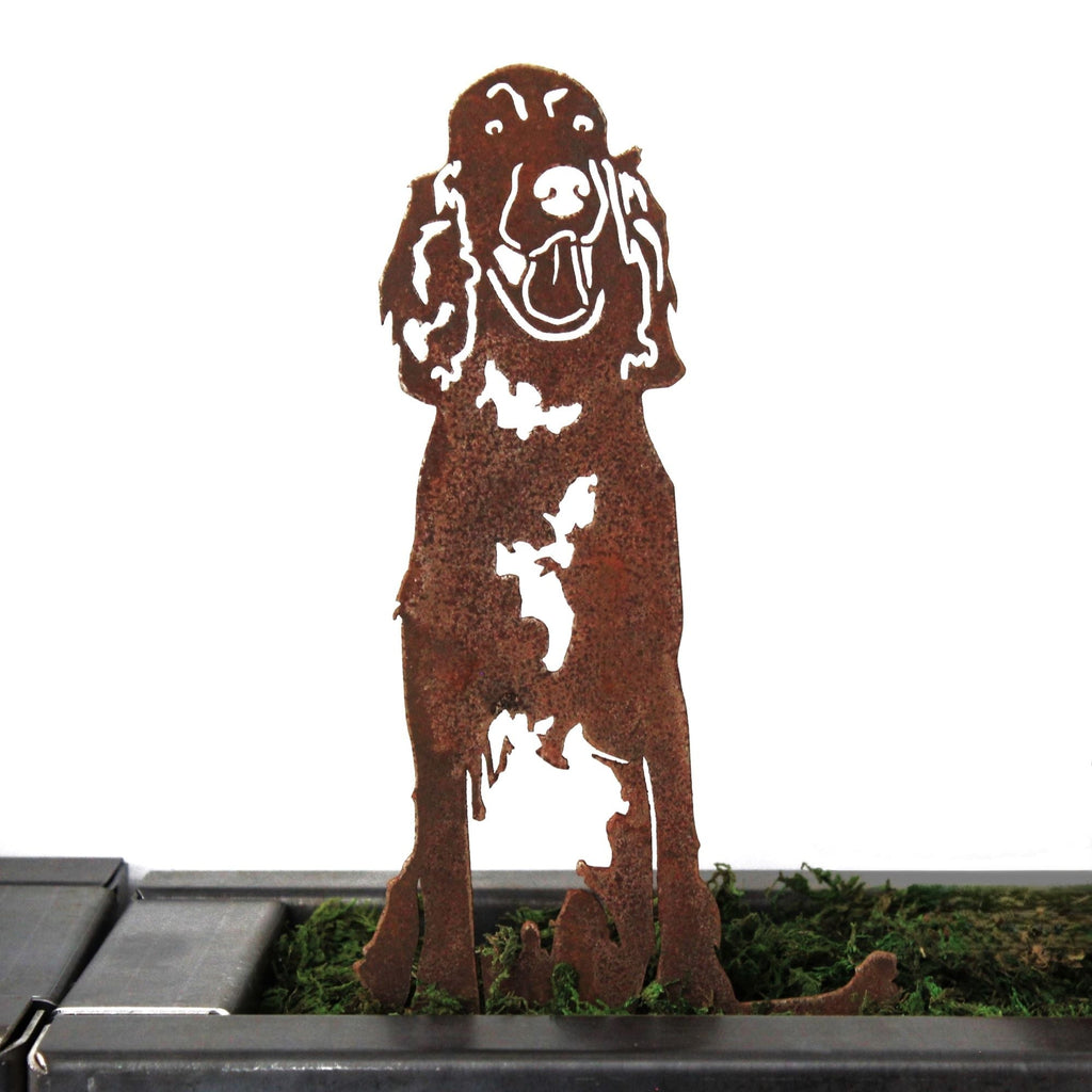 English Setter