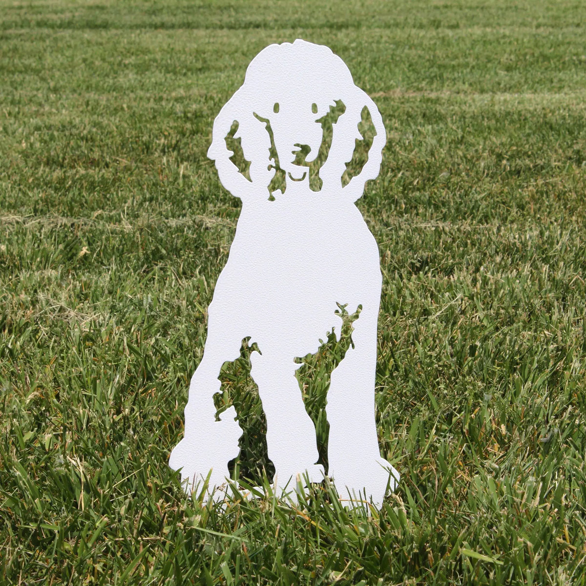 Special Edition *White* Poodle