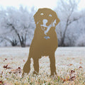 Special Edition *Gold* Labrador Retriever