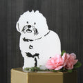 Special Edition *White* Bichon Frise