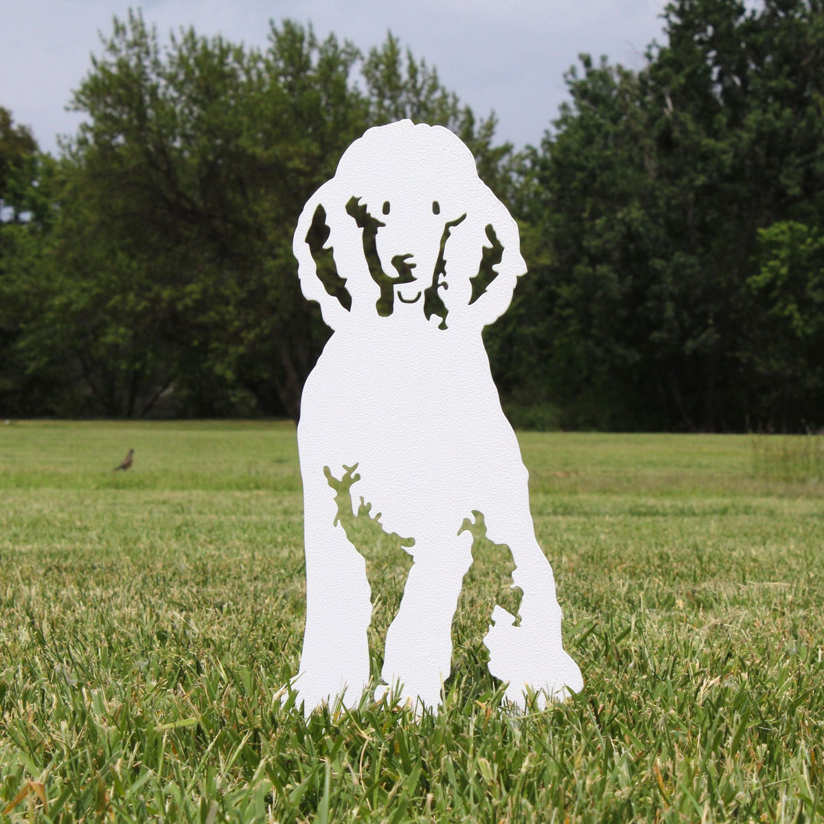 Poodle