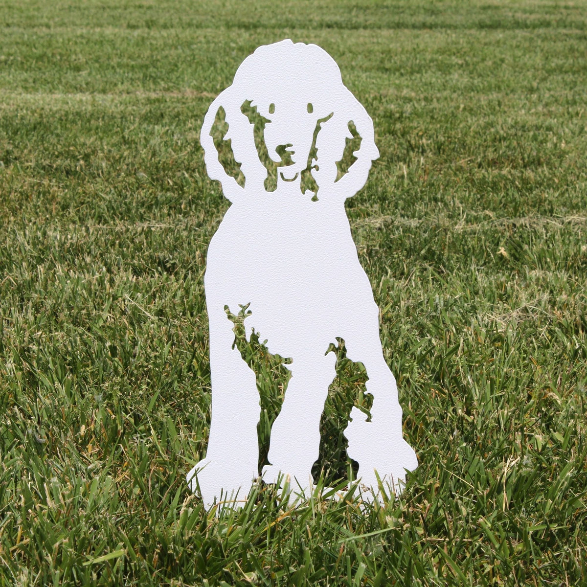 Poodle