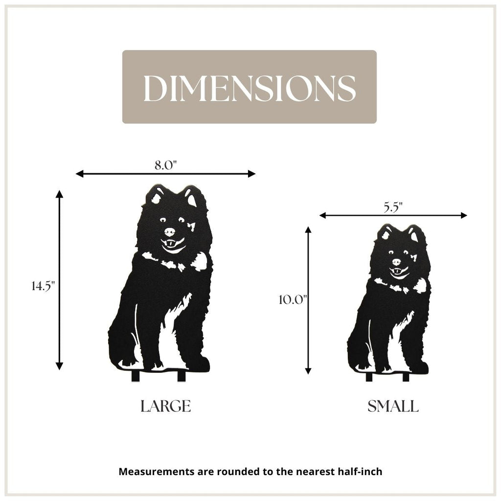 Samoyed