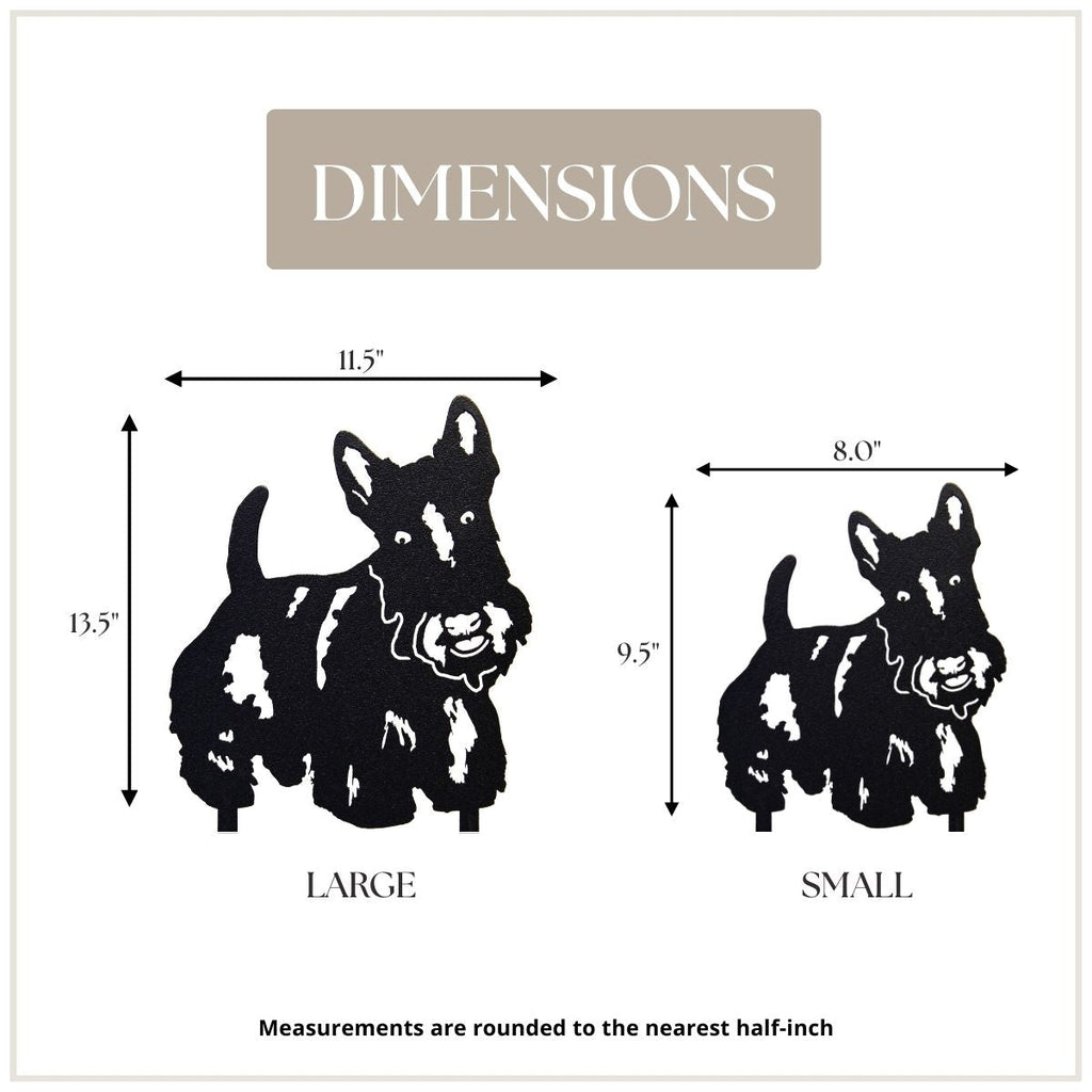 Scottish Terrier