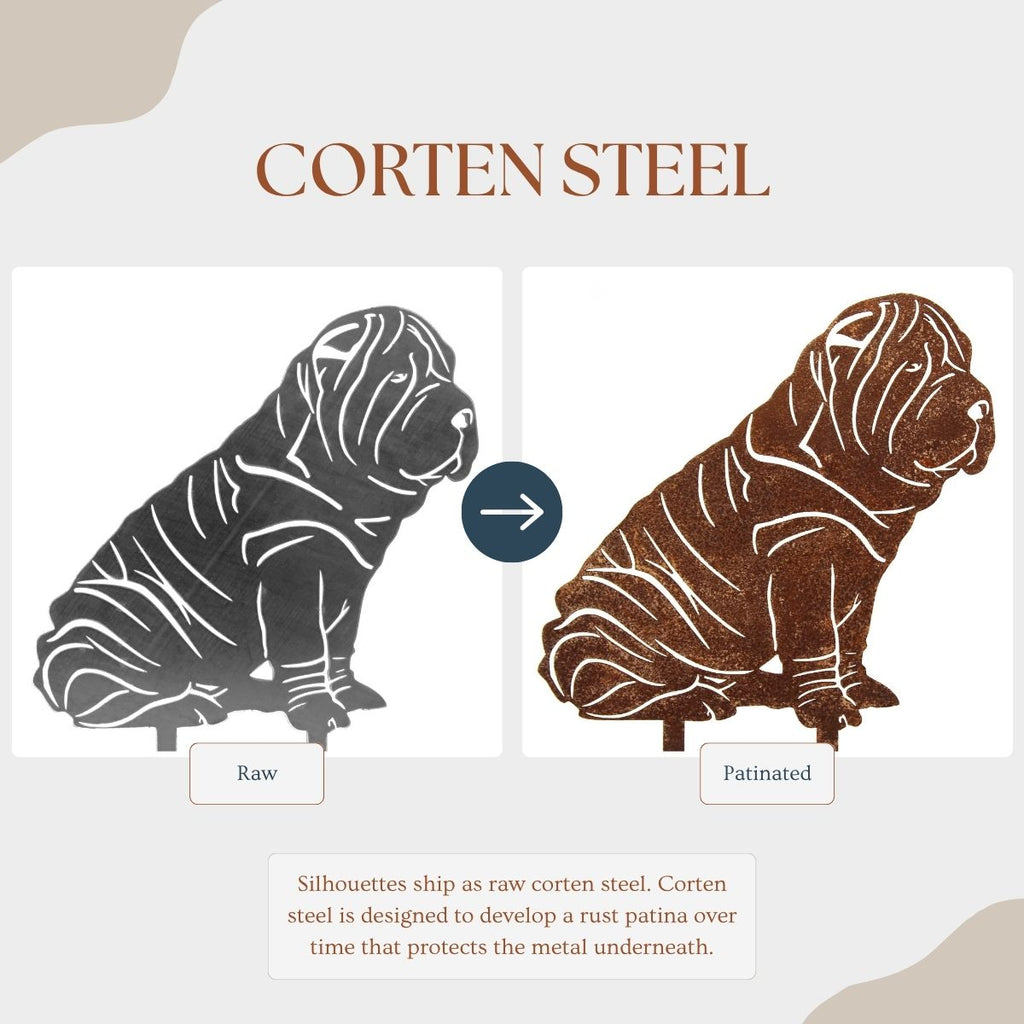 Shar Pei