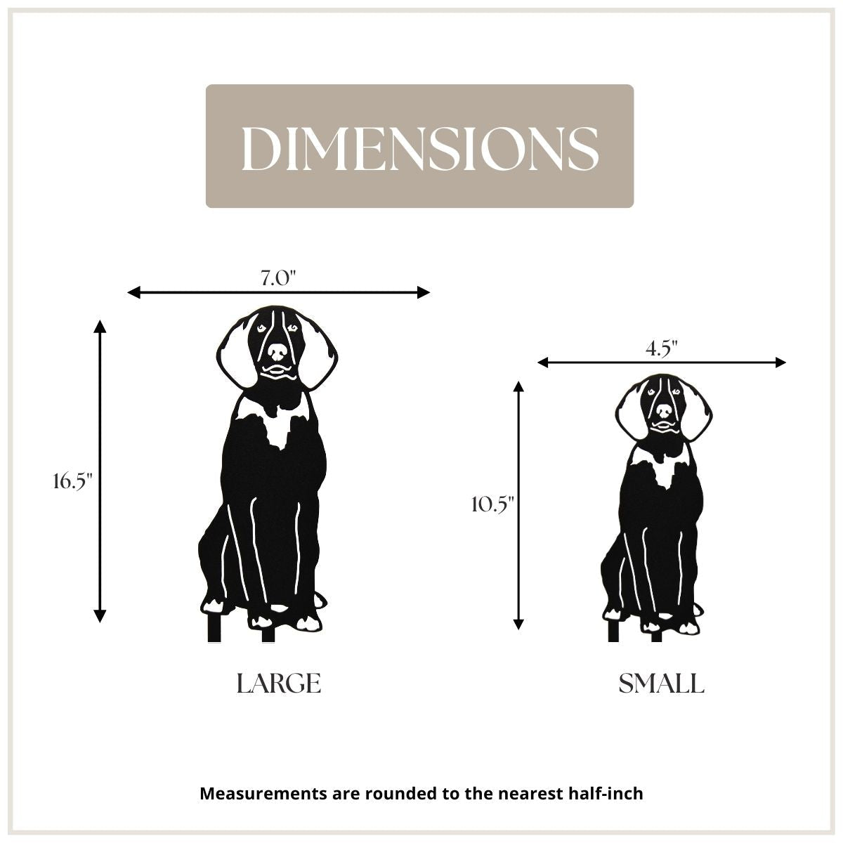 American English Coonhound